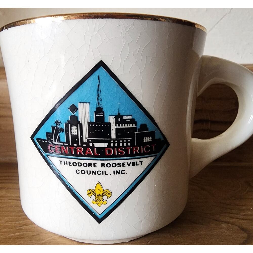 Boy Scouts Central District Theodore Roosevelt Council Mug BSA CRAZING FLAW